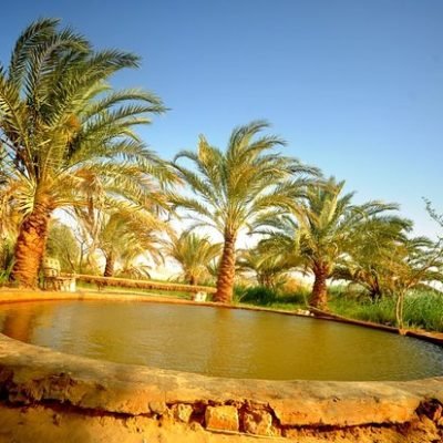 Baharya Oasis